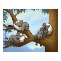 Sleeping Koala Poster posters