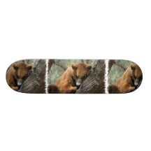Sleeping Kodiak Bear Skateboard