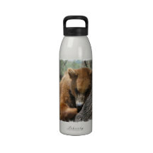 Sleeping Kodiak Bear Water Bottle
