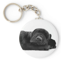 Sleeping Lab Keychain