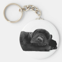 Sleeping Lab Keychain
