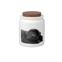 Sleeping Lab Puppy Candy Jar