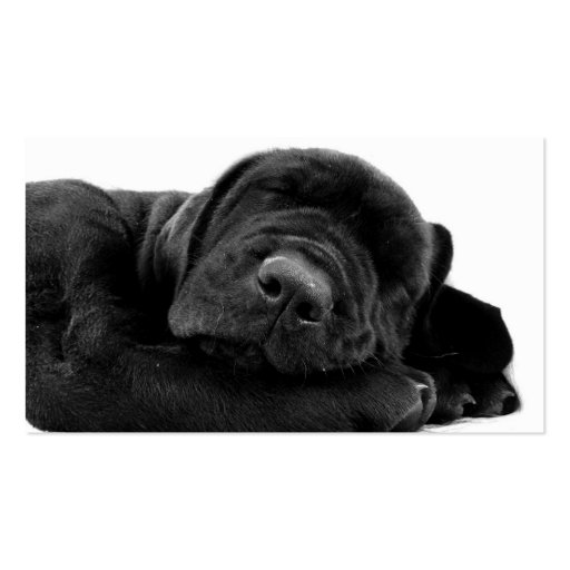 Sleeping Lab Puppy Dog Business Card (back side)