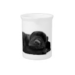 Sleeping Lab Puppy Pitcher
