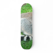 Sleeping Lemur On Grass skateboards by lifesphere Sleeping Lemur On Grass skateboards