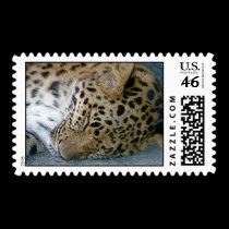 Sleeping Leopard Postage Stamp