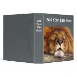 Sleeping Lion binders