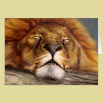 Sleeping Lion cards