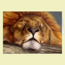 Sleeping Lion cards