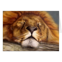 Sleeping Lion cards by RainbowCards Sleeping Lion cards