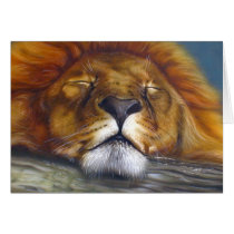Sleeping Lion Greeting Card