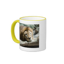 sleeping lion mugs