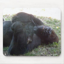 Sleeping Lowland Gorilla Kansas City Zoo Mousepad