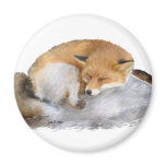 SLEEPING!  magnets