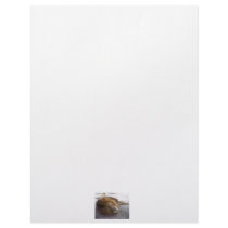Sleeping male lion head view photograph personalized letterhead