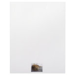 Sleeping male lion head view photograph personalized letterhead