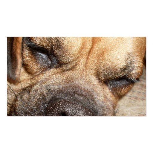 Sleeping Mastiff Dog Business Card (back side)
