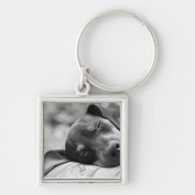 Sleeping Miniature Pinscher dog Key Chains
