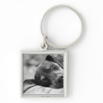 Sleeping Miniature Pinscher dog Key Chains