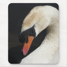 Sleeping Mute Swan Close-up Mousepad