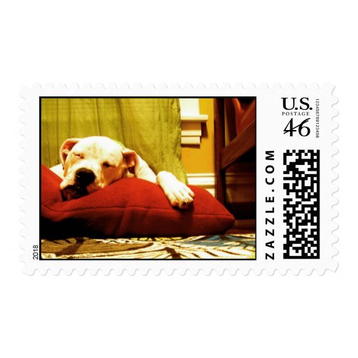 Sleeping Nelson Stamp