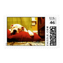 Sleeping Nelson Stamp