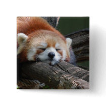 Sleeping Panda Bear  Button