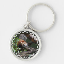 Sleeping Panda Bear  Keychain