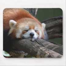 Sleeping Panda Bear  Mouse Pad