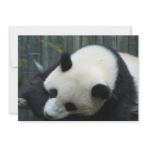 Sleeping Panda Invitation