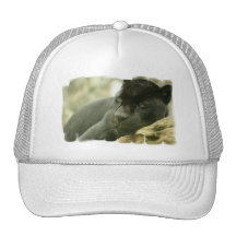Sleeping Panther Baseball Hat