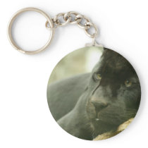Sleeping Panther Keychain