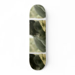 Sleeping Panther Skateboard