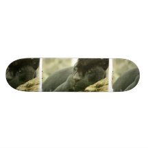 Sleeping Panther Skateboard