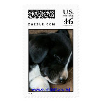 Sleeping Phoenix Postage