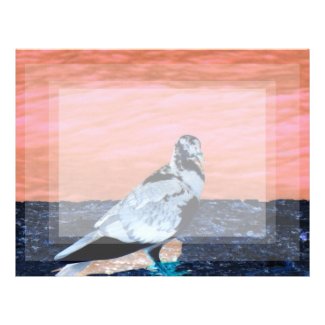 sleeping pied pigeon coral wall blue river invert personalized letterhead