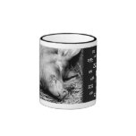 Sleeping Pig (Oink... Zzz...) - Animal Photo Mugs mugs