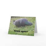 cards, funny cards, birthday cards, customizable,