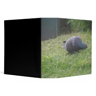 Sleeping Pigeon Photo Album binder