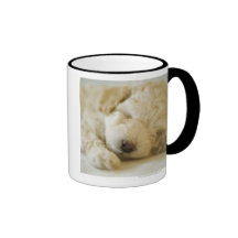 Sleeping Poodle puppy 2 Mugs