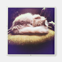 Sleeping Puddy Fridge Magnets