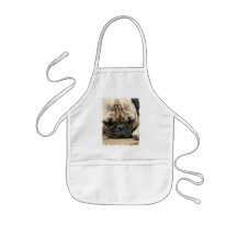 Sleeping Pug Children's Smock Apron