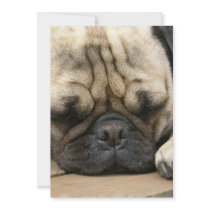 Sleeping Pug Invitation