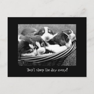 Sleeping Puppies Customizable Text Postcard