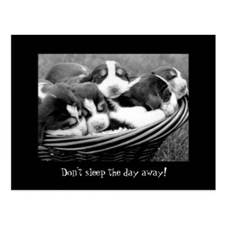 Sleeping Puppies Customizable Text Postcard