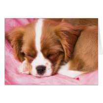 Sleeping Puppy Cavalier King Charles Spaniel Card cards
