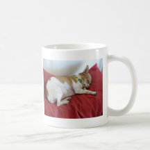 Sleeping Puppy Coffee Mugs