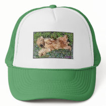 Sleeping Puppy hats by wheatenterrier Sleeping Puppy hats
