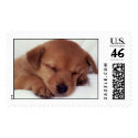 sleeping puppy postage