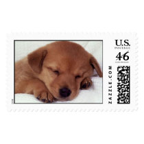 sleeping puppy postage